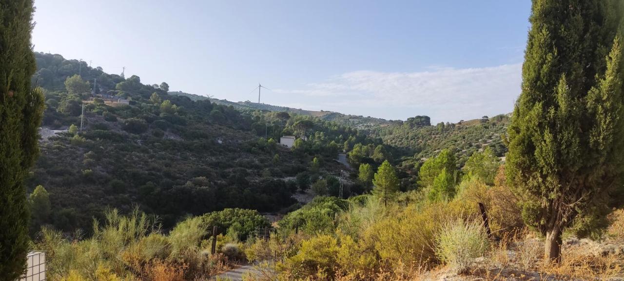 Casas Rurales Las Vinas Osuna Kültér fotó